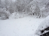 ski2012_005