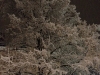 ski2012_030
