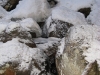 img_1664.jpg
