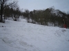 img_0121.jpg