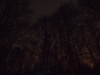 600_3078