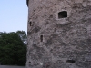 img_0831.jpg
