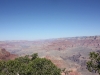 img_1556.jpg