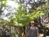 img_5027