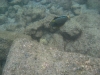 img_5185_0